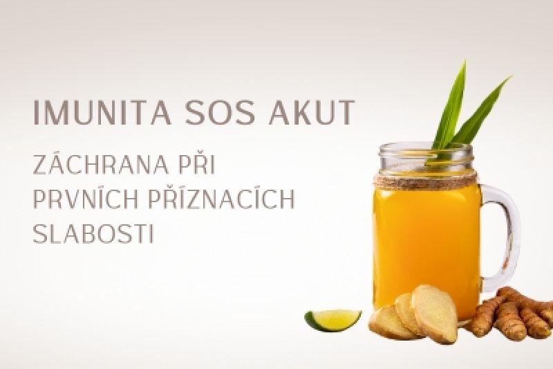 Sjednat konzultaci