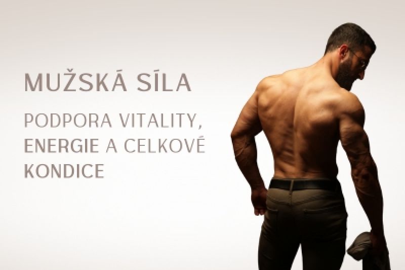 Sjednat konzultaci